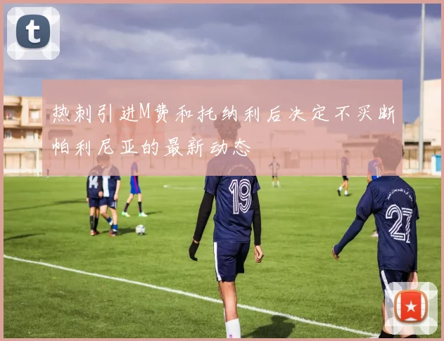 热刺引进M费和托纳利后决定不买断帕利尼亚的最新动态